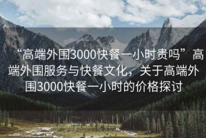 “高端外圍3000快餐一小時貴嗎”高端外圍服務與快餐文化，關(guān)于高端外圍3000快餐一小時的價格探討