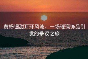 黃楊鈿甜耳環(huán)風波，一場璀璨飾品引發(fā)的爭議之旅