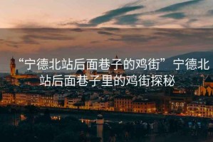 “寧德北站后面巷子的雞街”寧德北站后面巷子里的雞街探秘