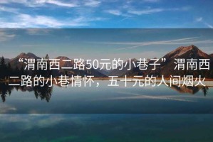 “渭南西二路50元的小巷子”渭南西二路的小巷情懷，五十元的人間煙火