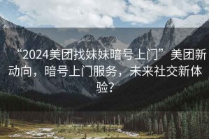 “2024美團(tuán)找妹妹暗號(hào)上門”美團(tuán)新動(dòng)向，暗號(hào)上門服務(wù)，未來社交新體驗(yàn)？