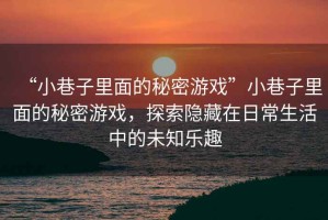 “小巷子里面的秘密游戲”小巷子里面的秘密游戲，探索隱藏在日常生活中的未知樂趣