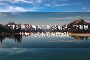 “亞洲黑絲后入”科技前沿，亞洲黑絲后入技術(shù)的深度解析