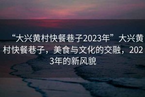 “大興黃村快餐巷子2023年”大興黃村快餐巷子，美食與文化的交融，2023年的新風貌