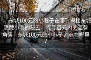 “東城100元的小巷子在哪”揭秘東城隱藏小巷的秘密，探尋百元內(nèi)的溫馨角落—東城100元的小巷子究竟在哪里？