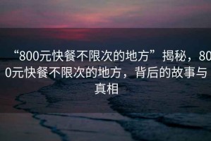 “800元快餐不限次的地方”揭秘，800元快餐不限次的地方，背后的故事與真相