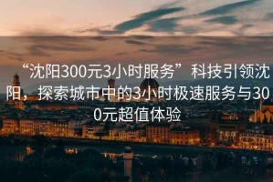 “沈陽300元3小時(shí)服務(wù)”科技引領(lǐng)沈陽，探索城市中的3小時(shí)極速服務(wù)與300元超值體驗(yàn)
