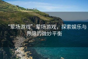 “葷場游戲”葷場游戲，探索娛樂與界限的微妙平衡