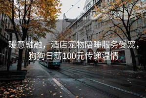 暖意融融，酒店寵物陪睡服務(wù)受寵，狗狗日薪100元傳遞溫情