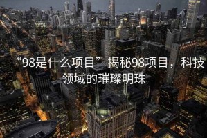 “98是什么項目”揭秘98項目，科技領(lǐng)域的璀璨明珠