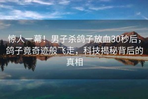 驚人一幕！男子殺鴿子放血30秒后，鴿子竟奇跡般飛走，科技揭秘背后的真相
