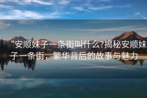 “安順妹子一條街叫什么?揭秘安順妹子一條街，繁華背后的故事與魅力
