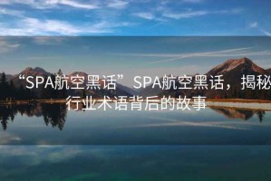 “SPA航空黑話”SPA航空黑話，揭秘行業(yè)術(shù)語背后的故事