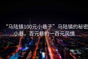 “馬陸鎮(zhèn)100元小巷子”馬陸鎮(zhèn)的秘密小巷，百元巷的一百元風(fēng)情