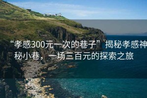 “孝感300元一次的巷子”揭秘孝感神秘小巷，一場三百元的探索之旅