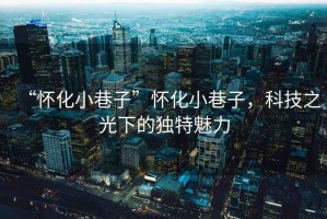 “懷化小巷子”懷化小巷子，科技之光下的獨特魅力