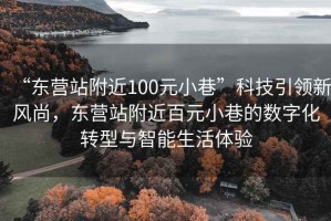 “東營(yíng)站附近100元小巷”科技引領(lǐng)新風(fēng)尚，東營(yíng)站附近百元小巷的數(shù)字化轉(zhuǎn)型與智能生活體驗(yàn)