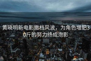黃曉明新電影撤檔風(fēng)波，為角色增肥30斤的努力終成泡影