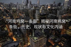 “河南雞窩一條街”揭秘河南雞窩一條街，歷史、現(xiàn)狀與文化內(nèi)涵