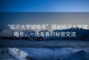“臨沂大學城暗號”揭秘臨沂大學城暗號，一場青春的秘密交流