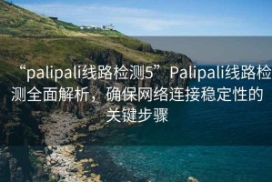 “palipali線路檢測(cè)5”P(pán)alipali線路檢測(cè)全面解析，確保網(wǎng)絡(luò)連接穩(wěn)定性的關(guān)鍵步驟