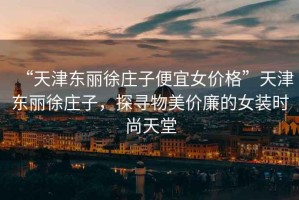 “天津東麗徐莊子便宜女價格”天津東麗徐莊子，探尋物美價廉的女裝時尚天堂