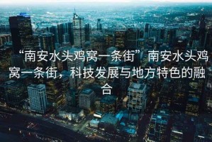 “南安水頭雞窩一條街”南安水頭雞窩一條街，科技發(fā)展與地方特色的融合