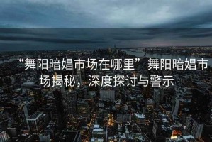 “舞陽暗娼市場在哪里”舞陽暗娼市場揭秘，深度探討與警示
