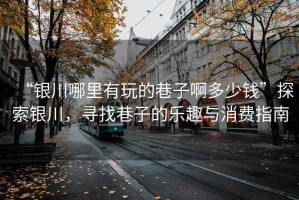 “銀川哪里有玩的巷子啊多少錢”探索銀川，尋找巷子的樂趣與消費(fèi)指南