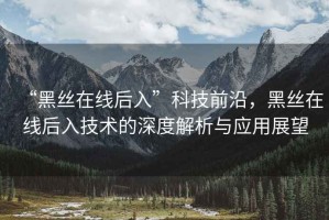 “黑絲在線后入”科技前沿，黑絲在線后入技術(shù)的深度解析與應(yīng)用展望
