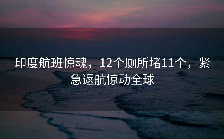印度航班驚魂，12個廁所堵11個，緊急返航驚動全球