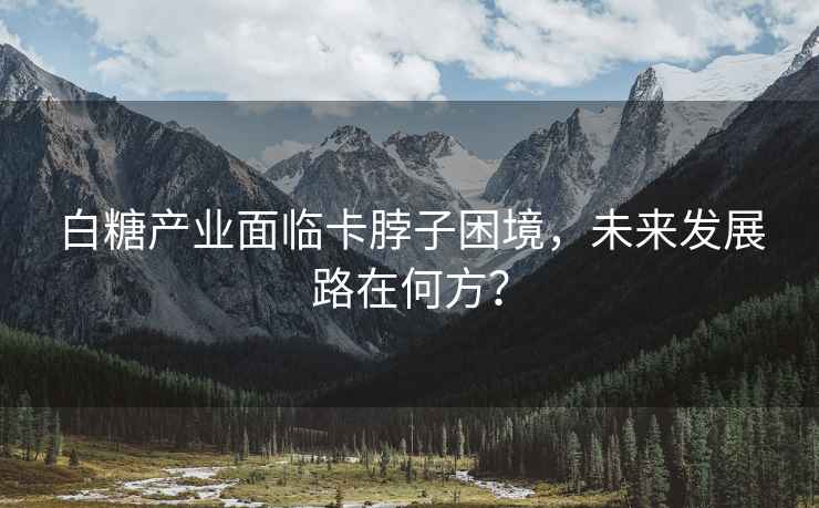白糖產(chǎn)業(yè)面臨卡脖子困境，未來發(fā)展路在何方？