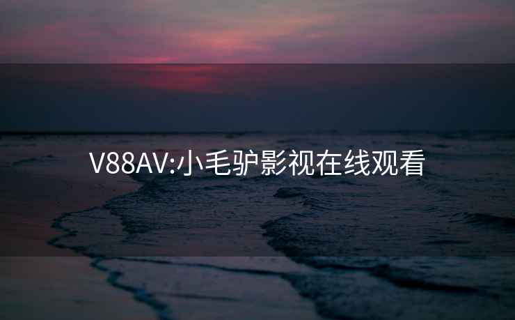 V88AV:小毛驢影視在線觀看