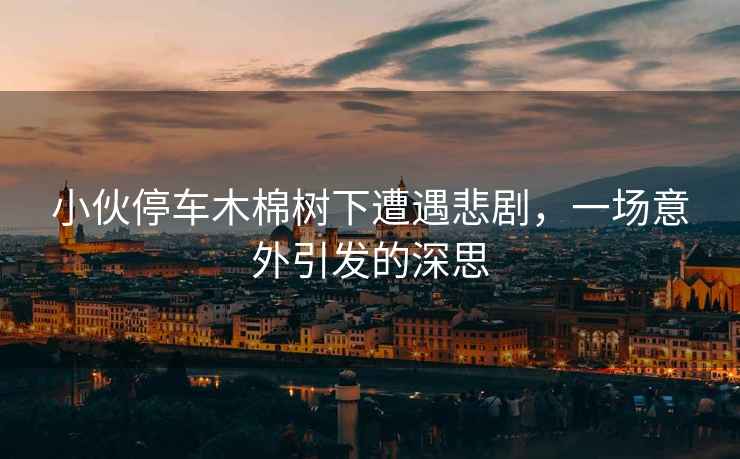 小伙停車木棉樹下遭遇悲劇，一場意外引發(fā)的深思