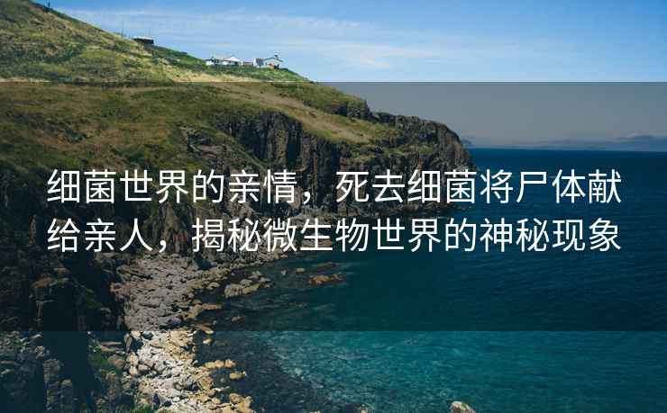 細菌世界的親情，死去細菌將尸體獻給親人，揭秘微生物世界的神秘現(xiàn)象
