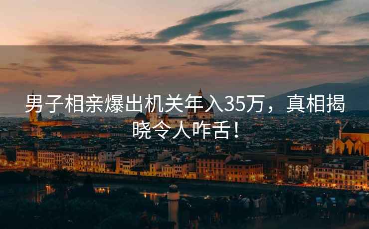 男子相親爆出機(jī)關(guān)年入35萬，真相揭曉令人咋舌！
