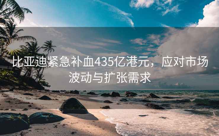 比亞迪緊急補(bǔ)血435億港元，應(yīng)對(duì)市場(chǎng)波動(dòng)與擴(kuò)張需求