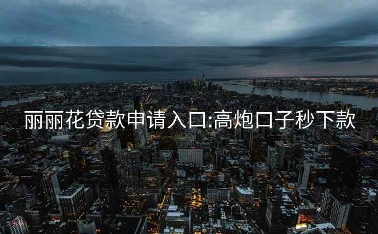 麗麗花貸款申請入口:高炮口子秒下款