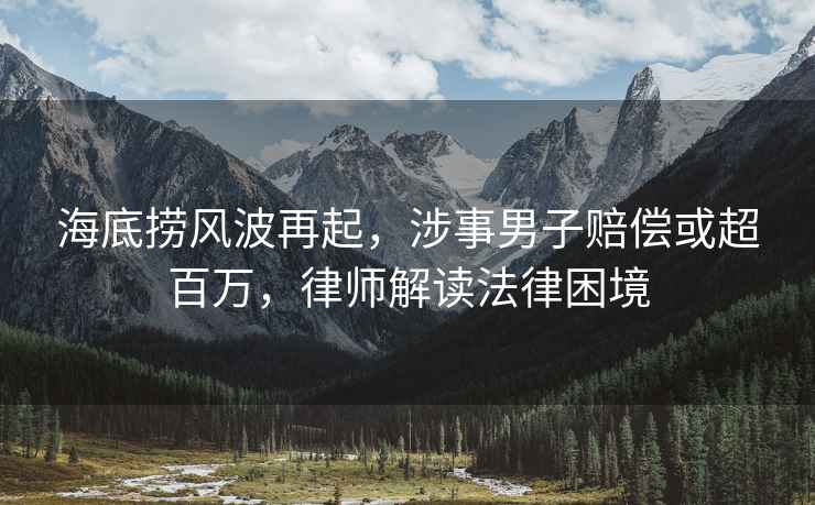 海底撈風(fēng)波再起，涉事男子賠償或超百萬(wàn)，律師解讀法律困境