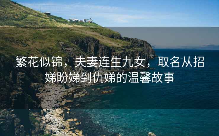 繁花似錦，夫妻連生九女，取名從招娣盼娣到仇娣的溫馨故事