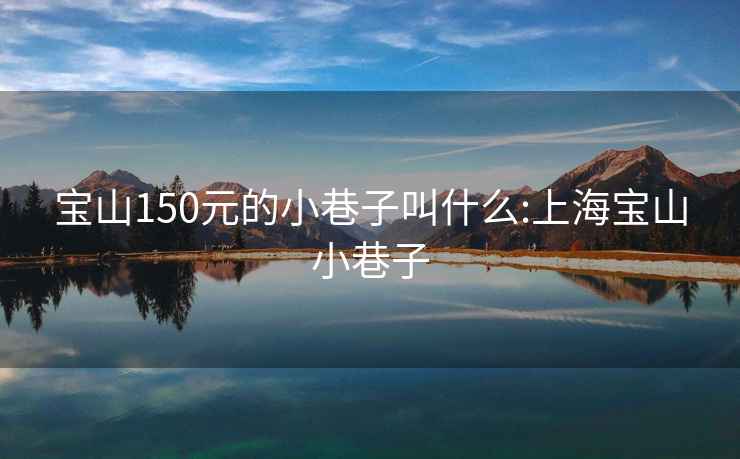 寶山150元的小巷子叫什么:上海寶山小巷子