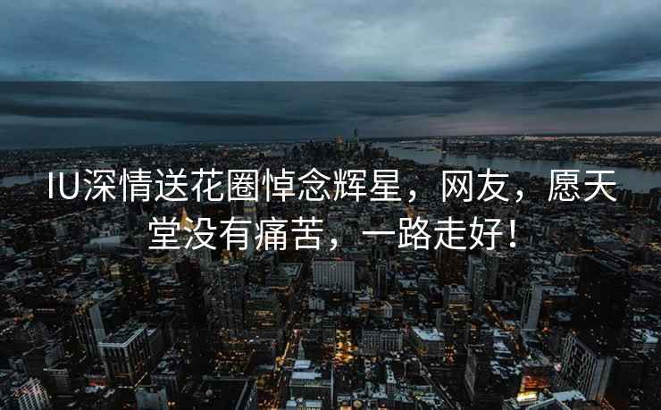 IU深情送花圈悼念輝星，網(wǎng)友，愿天堂沒有痛苦，一路走好！