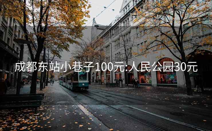 成都東站小巷子100元:人民公園30元