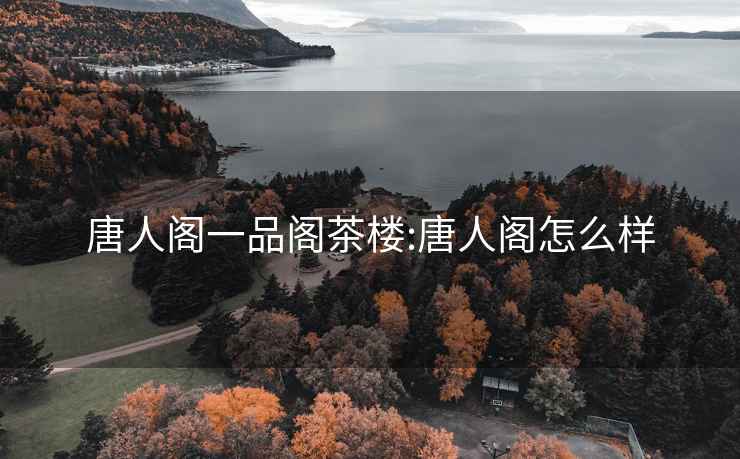 唐人閣一品閣茶樓:唐人閣怎么樣