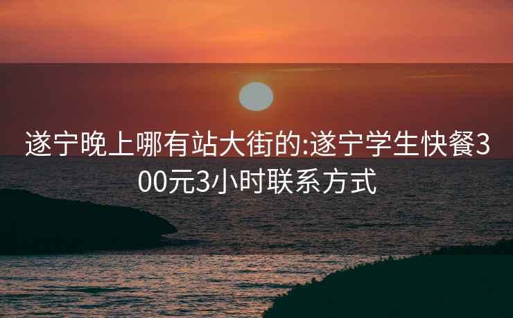 遂寧晚上哪有站大街的:遂寧學(xué)生快餐300元3小時(shí)聯(lián)系方式