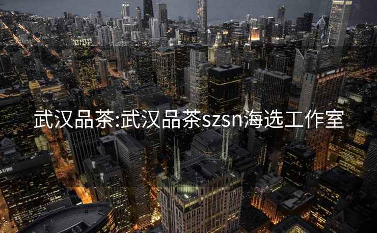 武漢品茶:武漢品茶szsn海選工作室