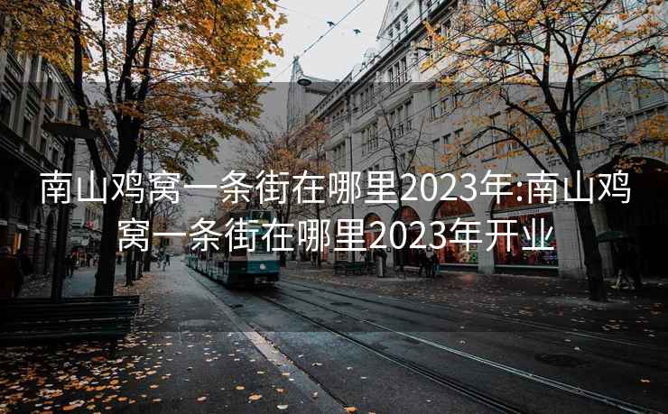 南山雞窩一條街在哪里2023年:南山雞窩一條街在哪里2023年開(kāi)業(yè)