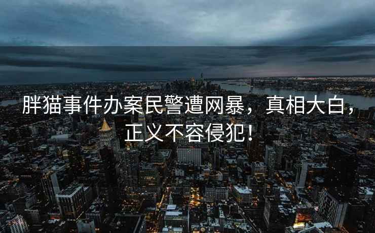 胖貓事件辦案民警遭網(wǎng)暴，真相大白，正義不容侵犯！