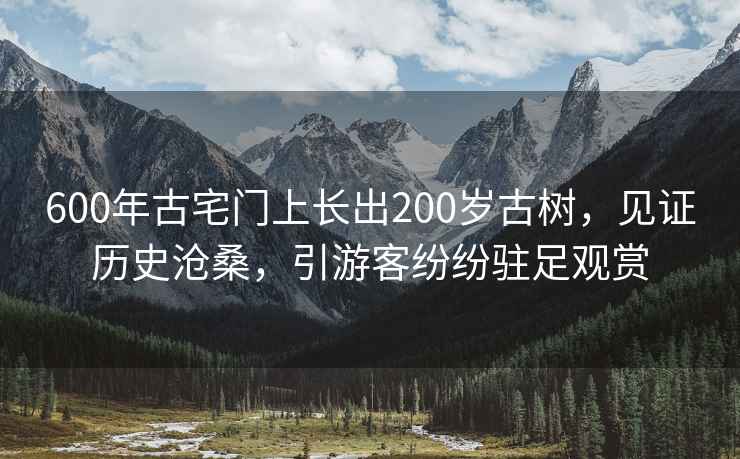 600年古宅門上長出200歲古樹，見證歷史滄桑，引游客紛紛駐足觀賞