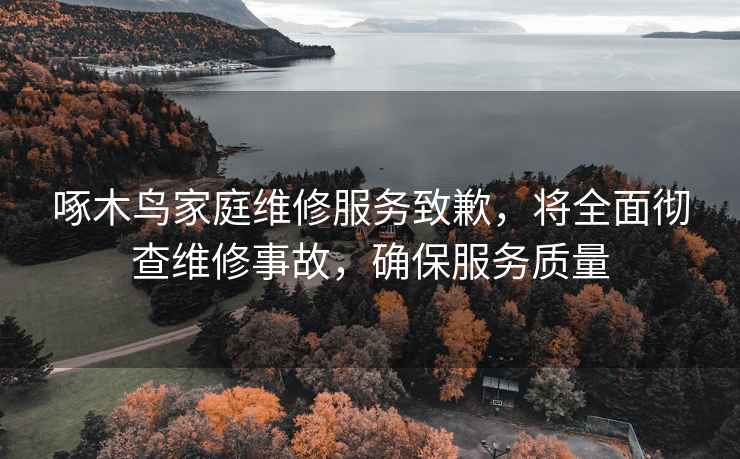 啄木鳥家庭維修服務(wù)致歉，將全面徹查維修事故，確保服務(wù)質(zhì)量